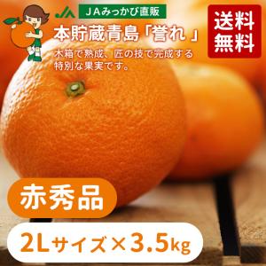 3月発送】みかん 本貯蔵青島「誉れ 」赤秀品 Lサイズ 4kg 【他の商品と