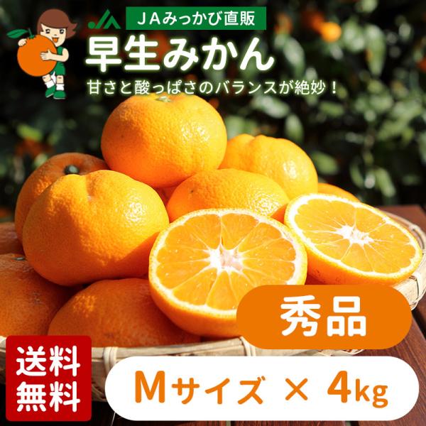 みかん 早生みかん 秀品 Mサイズ 4kg  ＪＡみっかび 産地直送 三ヶ日ミカン【他の商品と同時購...