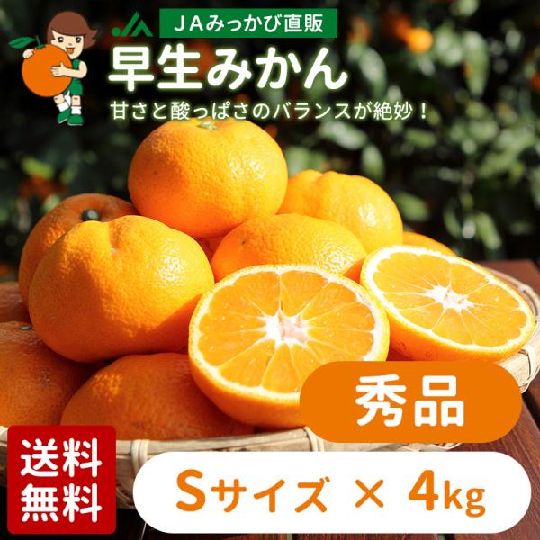 みかん 早生みかん 秀品 Sサイズ 4kg  ＪＡみっかび 産地直送 三ヶ日ミカン【他の商品と同時購...