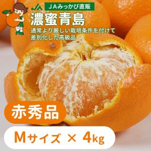 三ヶ日みかんジュース あおしまみかんジュース280g×24缶入り : JAみっ
