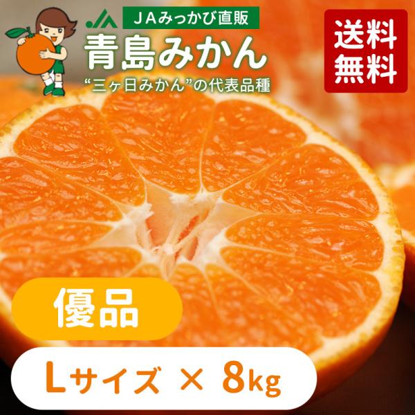 みかん 青島みかん 優品 Lサイズ 8kg 【年明け発送：2026年1月5日〜2月中旬】【他の商品と...