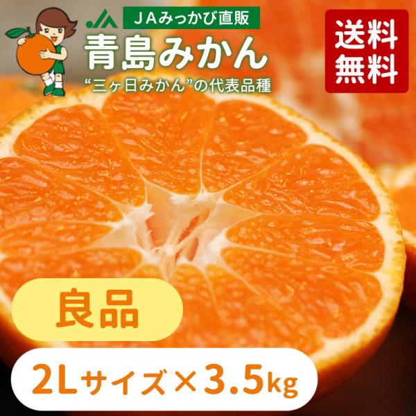 みかん 青島みかん 良品 2Lサイズ 3.5kg 【年明け発送：2026年1月5日〜2月中旬】【他の...