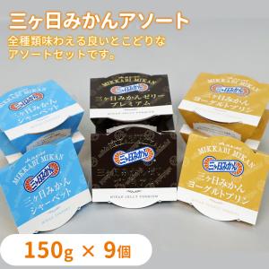 みかん 早生みかん 秀品 Sサイズ 4kg JAみっかび 産地直送 三ヶ日
