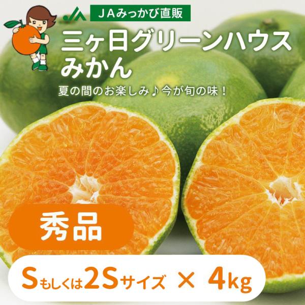 みかん グリーンハウスみかん 秀品 Sもしくは2Sサイズ(選択不可) 4kg ＪＡみっかび 産地直送...