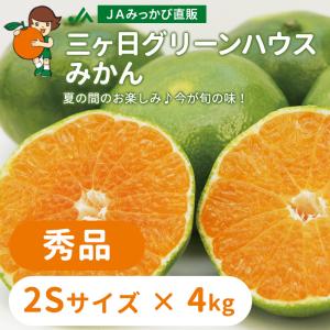 みかん グリーンハウスみかん【2026】 秀品 2Sサイズ 4kg ＪＡみっかび 産地直送 三ヶ日ミカン
