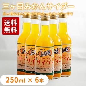 三ヶ日みかんサイダー250ml×6本 : JAみっかび ミカちゃん