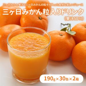 三ヶ日みかんジュース あおしまみかんジュース280g×24缶入り : JAみっ