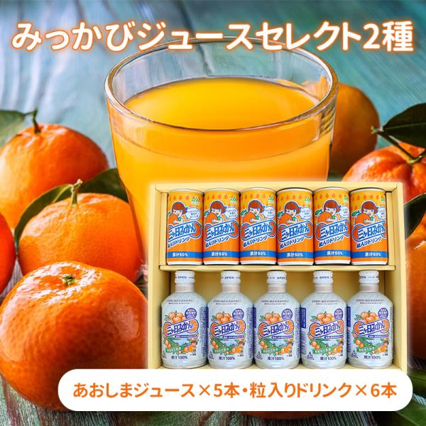 みっかびジュースセレクト2種（あおしまジュース×5本・粒入りドリンク×6本）