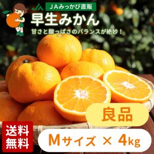 みかん みかん 早生みかん 優品 Sサイズ 4kg JAみっかび 産地直送