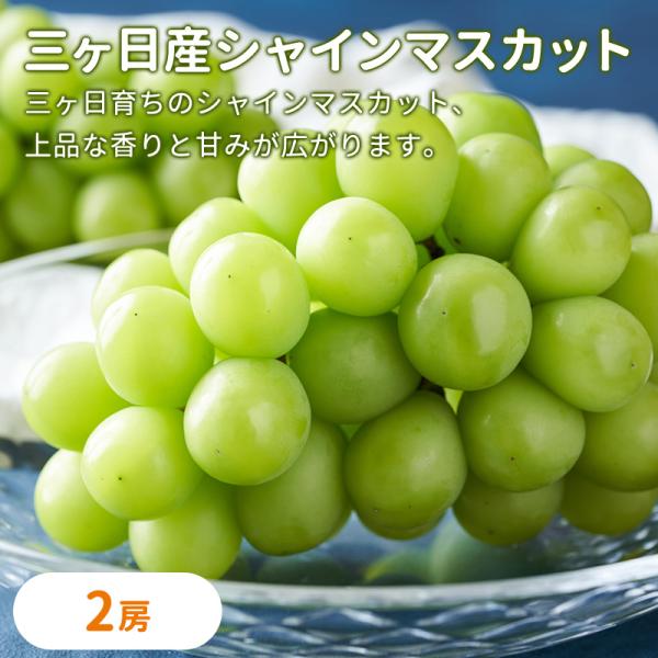 三ヶ日産シャインマスカット