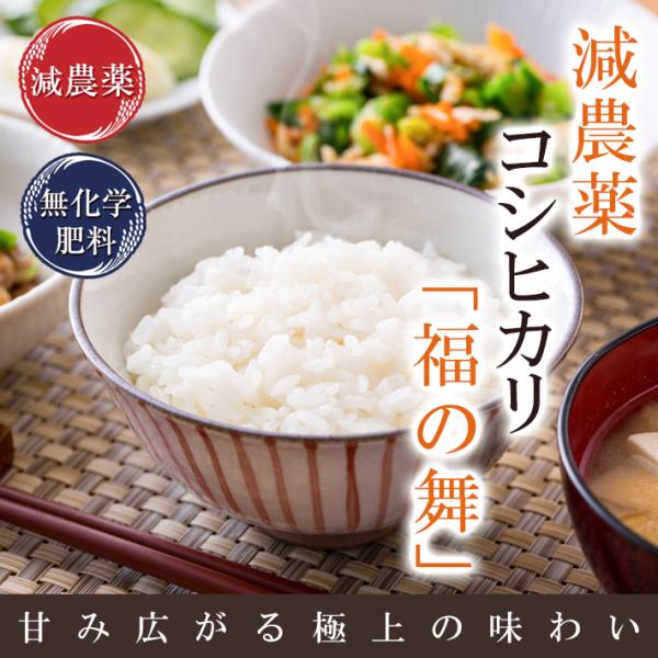 米 10kg（5kg×2） コシヒカリ 「福の舞」特別栽培米 減農薬（農薬使用量5割以上削減）令和5...