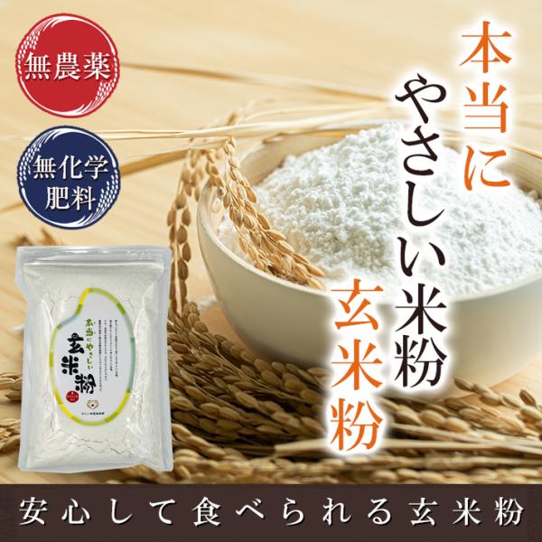 米粉 玄米粉 500g 無農薬・無化学肥料栽培 令和6年福井県産ササニシキ使用 本当にやさしい玄米粉...