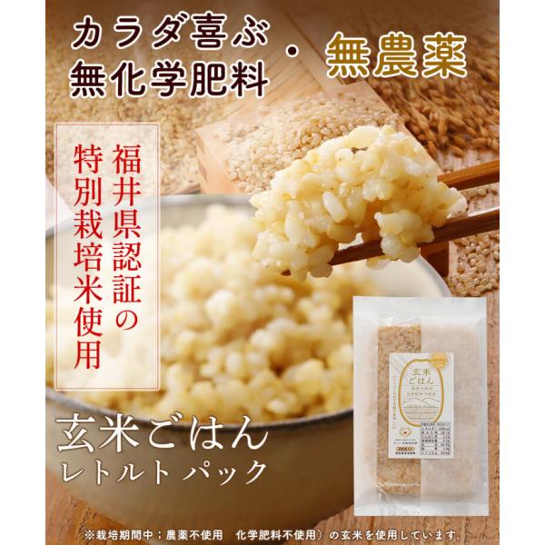 玄米ごはん レトルト エコパック 200g×30袋 無農薬・無化学肥料 令和6年　福井県産 特別栽培...