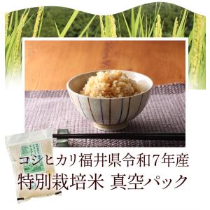発芽玄米 無農薬・無化学肥料 コシヒカリ「特選...の詳細画像2
