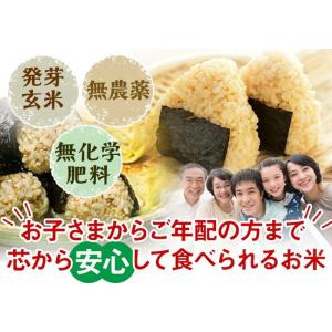 【お値下げ】発芽玄米 無農薬・無化学肥料 コシ...の詳細画像1