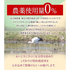 【お値下げ】発芽玄米 無農薬・無化学肥料 コシ...の詳細画像5