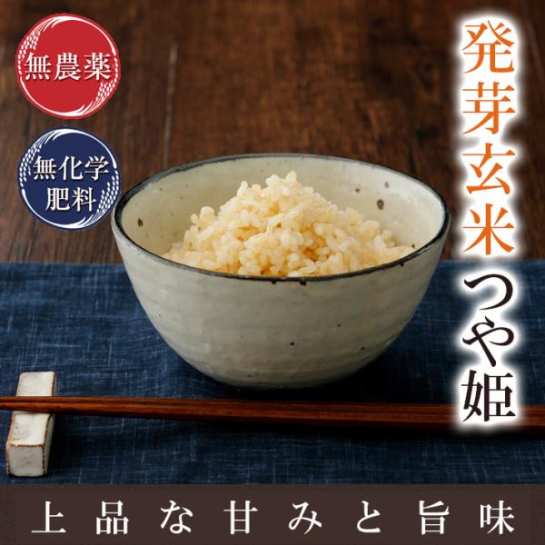 発芽玄米 無農薬 2Kg つや姫 宮城令和5年産 特別栽培米 真空パック