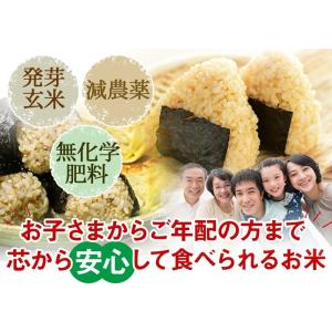 【値下げ】発芽玄米 コシヒカリ 3Kg 残留農...の詳細画像1