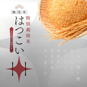 発芽玄米 無洗米 2kg 残留農薬ゼロ 特別栽...の詳細画像1
