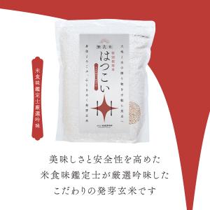 発芽玄米 無洗米 2kg 残留農薬ゼロ 特別栽...の詳細画像2