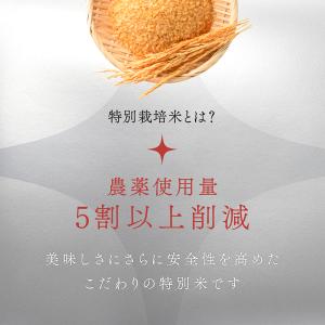 発芽玄米 無洗米 2kg 残留農薬ゼロ 特別栽...の詳細画像3