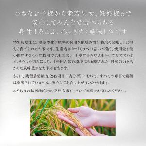 発芽玄米 無洗米 2kg 残留農薬ゼロ 特別栽...の詳細画像4