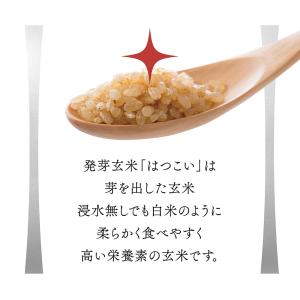 【値下げ】発芽玄米 無洗米 5kg 残留農薬ゼ...の詳細画像5