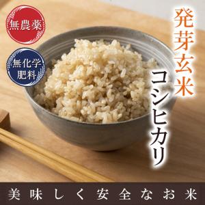 発芽玄米 無農薬 コシヒカリ 宮城令和3年産 特別栽培米 真空パック 3Kg