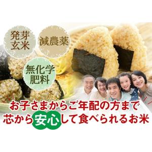 【値下げ】発芽玄米 コシヒカリ 5Kg 残留農...の詳細画像1