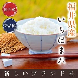 いちほまれ 令和の新米 15kg 送料無料 福井県の新しいブランド米