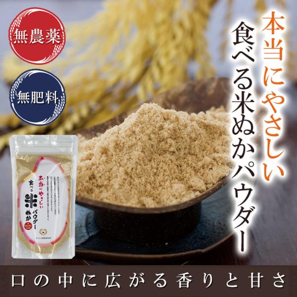 食べる米ぬかパウダー 100g入×6袋 無農薬・無肥料栽培米使用 本当にやさしい食べる米ぬか 送料無...