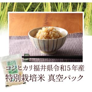発芽玄米 無農薬・無化学肥料 コシヒカリ「特選...の詳細画像2