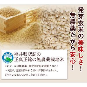 発芽玄米 無農薬・無化学肥料 コシヒカリ「特選...の詳細画像3