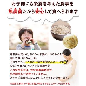 発芽玄米 無農薬・無化学肥料 コシヒカリ「特選...の詳細画像4