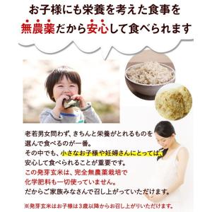 【お値下げ】発芽玄米 無農薬・無化学肥料 コシ...の詳細画像4