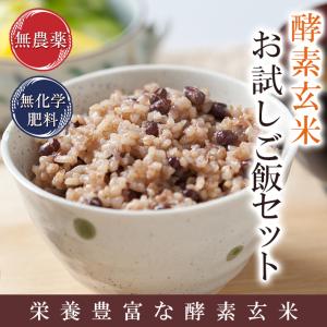 無農薬 酵素玄米 ご飯3合セット 令和5年福井県産 メール便 送料無料 代金引換不可