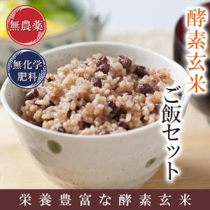 無農薬 酵素玄米 ご飯セット令和5年福井県産 玄米5Kg+小豆350ｇ+塩60ｇ 送料無料