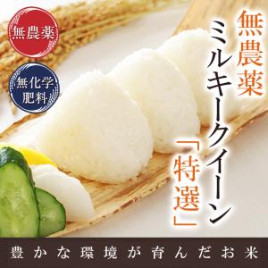 無農薬 玄米 米 2kg 無農薬 ミルキークイーン 特選 令和7年福井県産 新米 送料無料 無農薬・無化学肥料栽培