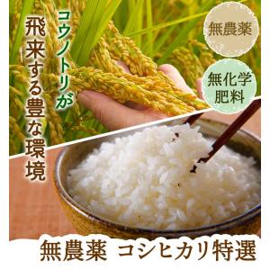 【新米入荷】無農薬 米 玄米 10kg (5k...の詳細画像1