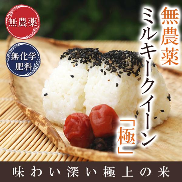 無農薬 玄米 10kg(5kg×2）無農薬 ミルキークイーン 極 令和5年福井県産 送料無料 無農薬...