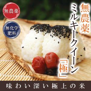 無農薬 玄米 米 5kg 無農薬 ミルキークイーン 極 令和5年福井県産 送料無料 無農薬・無化学肥料栽培｜発芽玄米のふくい味覚倶楽部