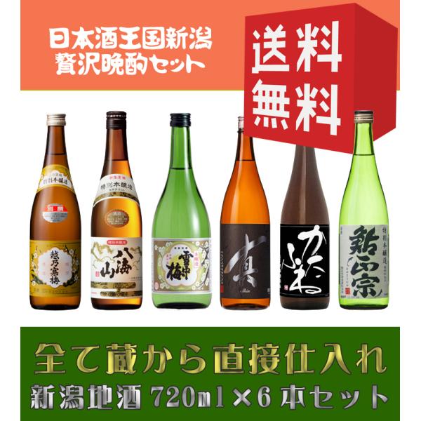 送料無料　御歳暮　日本酒　お酒　ギフト　飲み比べ　越乃寒梅　雪中梅　八海山　かたふね　千代の光　鮎正...