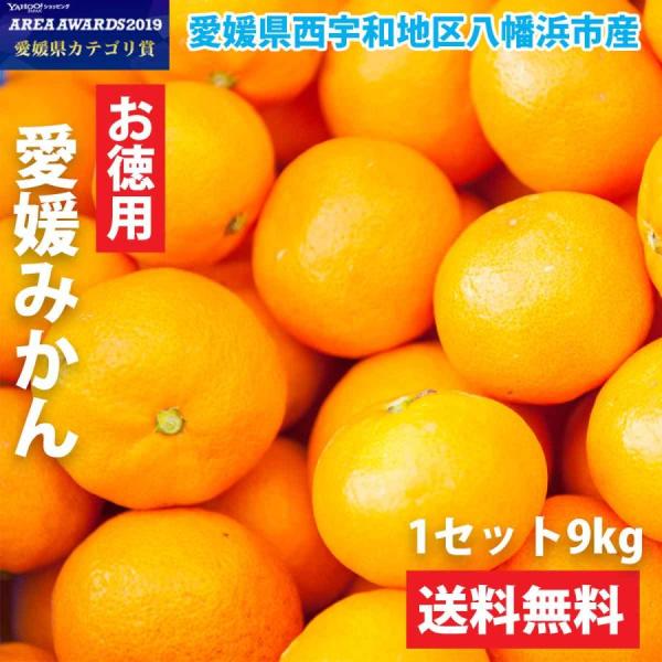 みかん 9kg 甘い ご家庭用 訳あり 大玉 L〜３Lサイズ 50〜70玉前後入り 愛媛 西宇和 八...