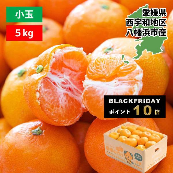 みかん 5kg 甘い 訳あり 小玉 こつぶ 小粒 3S〜Sサイズ 50〜80玉前後入り 愛媛 西宇和...