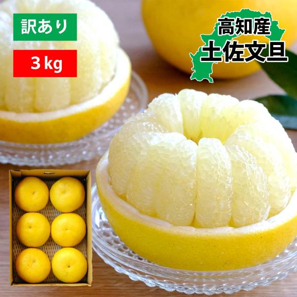 文旦 土佐文旦 大玉 厳選 2L 3L 3kg 訳あり ご家庭用 ぶんたん 土佐文旦 旬 箱買い お...