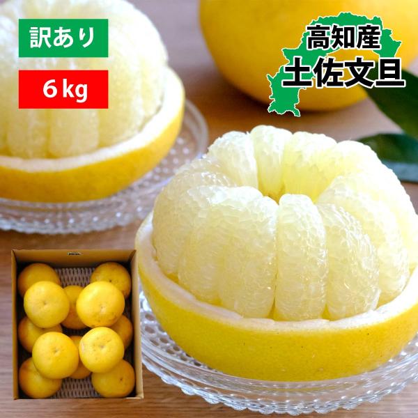 文旦 土佐文旦 大玉 厳選 2L 3L サイズ 6kg 訳あり ご家庭用 ぶんたん 土佐文旦 旬 箱...