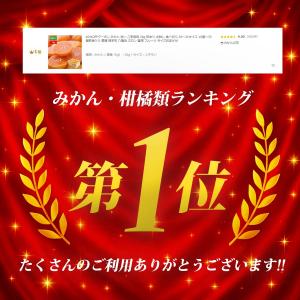 【クーポンで40%OFF】みかん ご家庭用 2...の詳細画像2