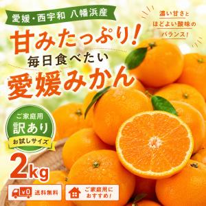 【クーポンで40%OFF】みかん ご家庭用 2...の詳細画像4