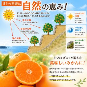 【クーポンで40%OFF】みかん ご家庭用 2...の詳細画像5