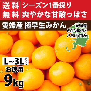 みかん 9kg 甘い ご家庭用 お徳用 大玉 訳あり 極早生 L〜3Lサイズ 35〜60玉入り 愛媛 西宇和地区八幡浜市産 ３営業日以内に出荷｜mikan-hana